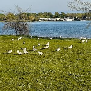 Meet your Posher, ellie